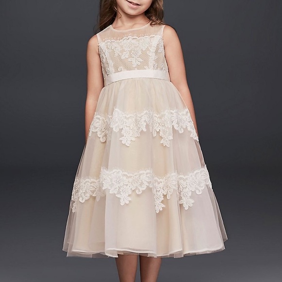 David’s Bridal Banded Lace Illusion Dress